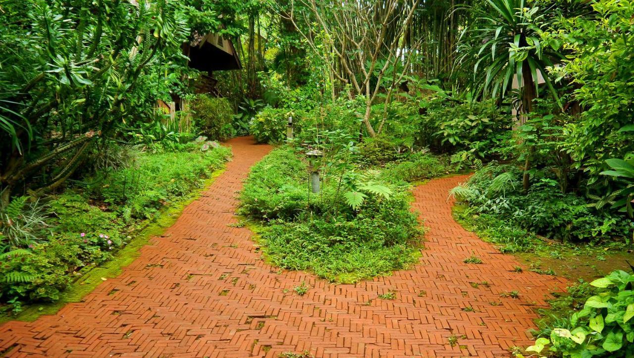 Misty View Guesthouse Pai Exterior photo
